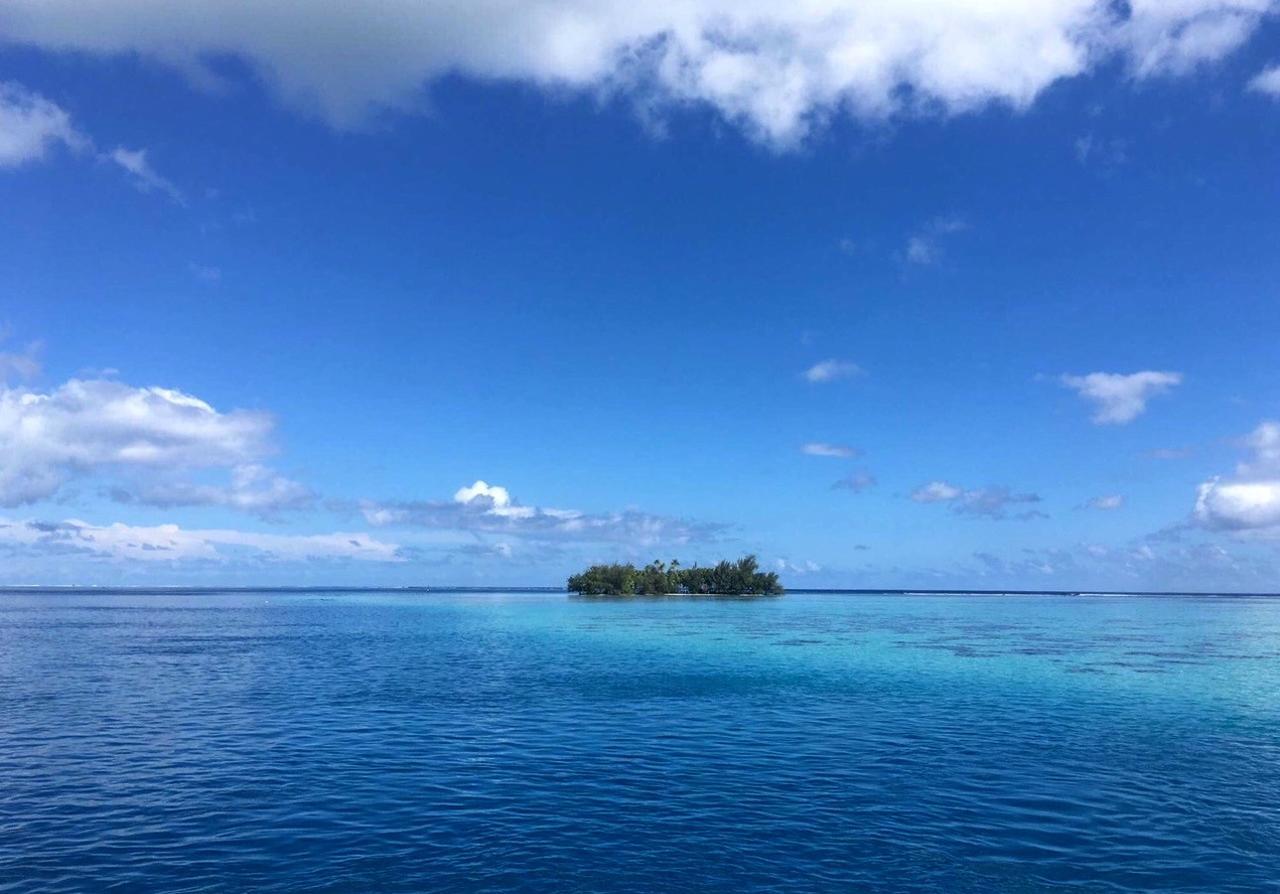 Island Home Uturoa Dış mekan fotoğraf